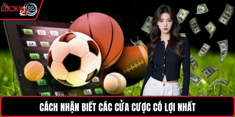 Cách nhận biết các cửa cược có lợi nhất