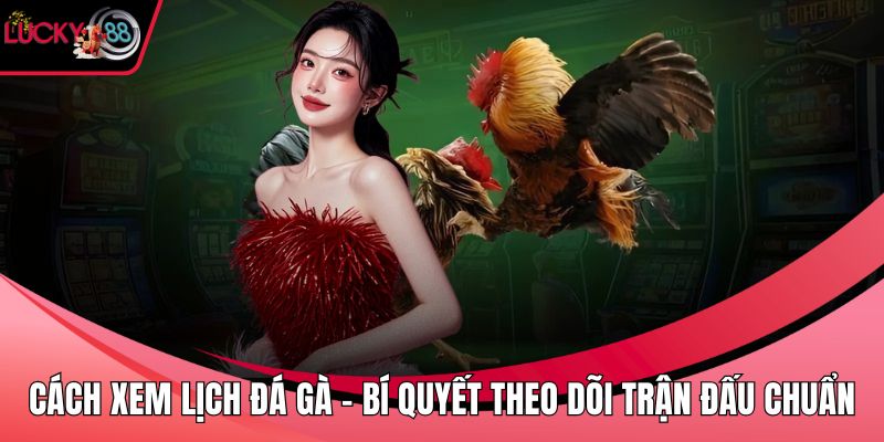 cách xem lịch đá gà