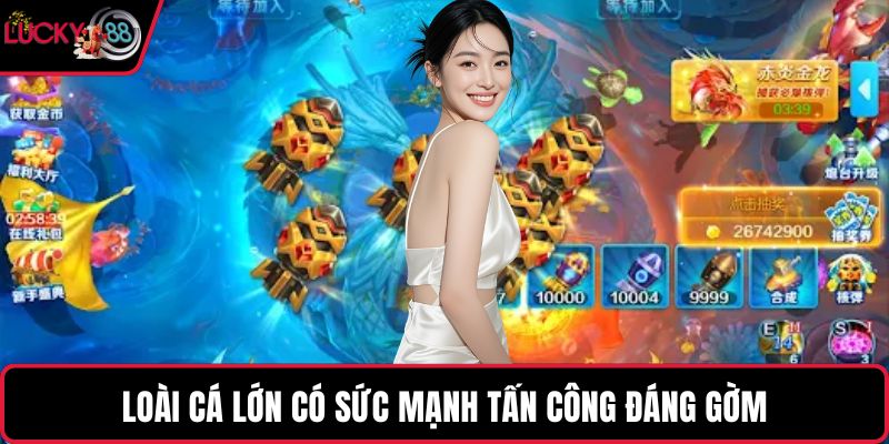 Loài cá lớn có sức mạnh tấn công đáng gờm