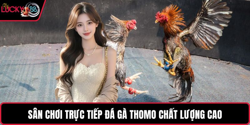 Sân chơi trực tiếp đá gà thomo chất lượng cao