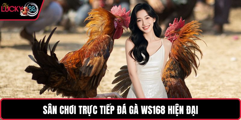 Sân chơi trực tiếp đá gà WS168 hiện đại