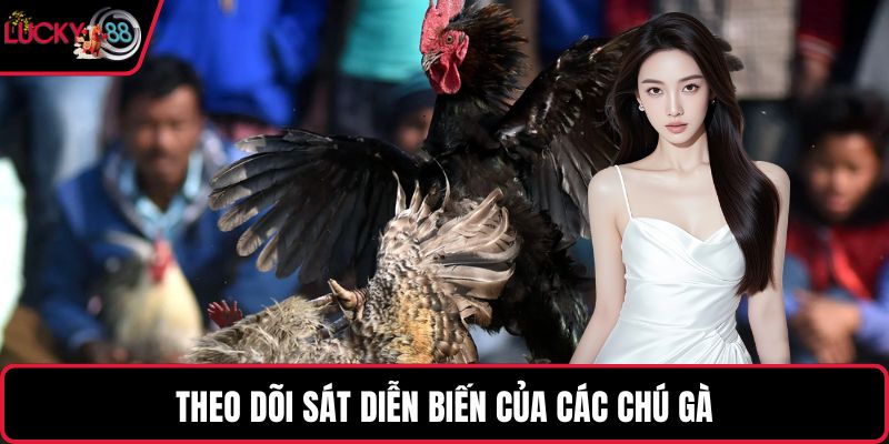 Theo dõi sát diễn biến của các chú gà
